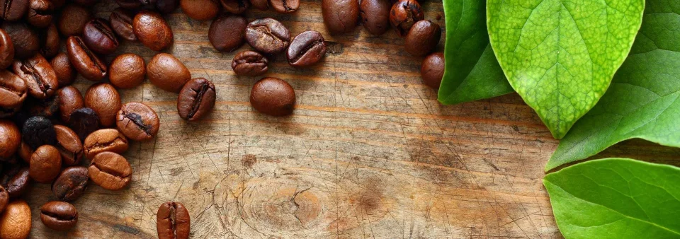 Model sticlă printată, Cafea