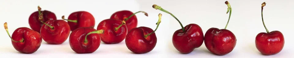 Model sticlă printată, Fructe