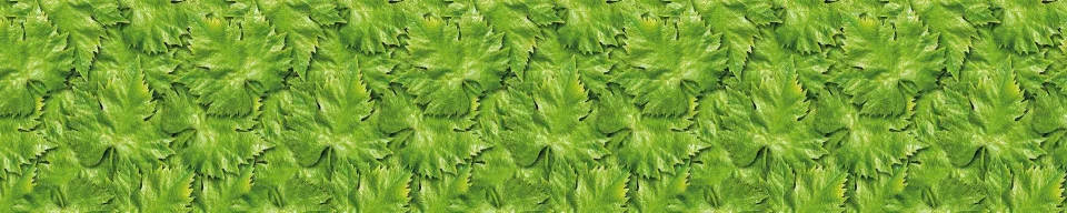 Model sticlă printată, Modele plante