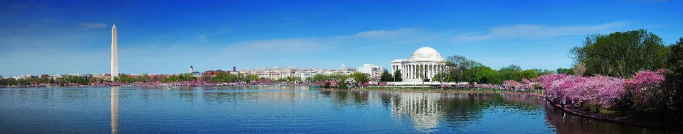 Model sticlă printată, Washington
