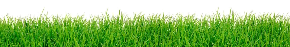 Model sticlă printată, Plante