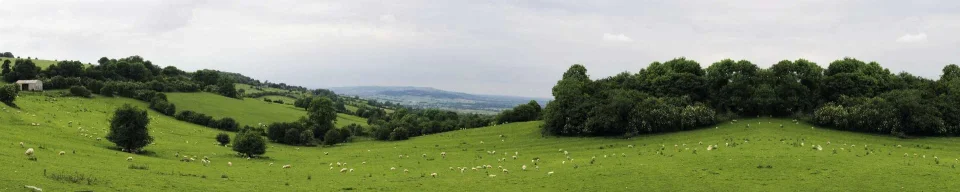 Model sticlă printată, Peisaje