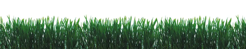 Model sticlă printată, Plante