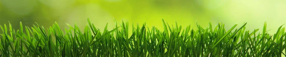 Model sticlă printată, Plante