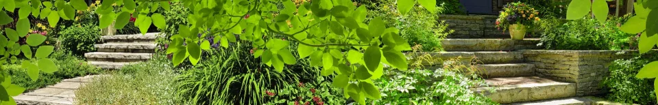 Model sticlă printată, Plante