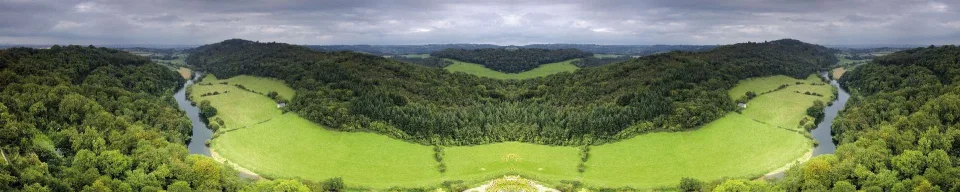Model sticlă printată, Pădure