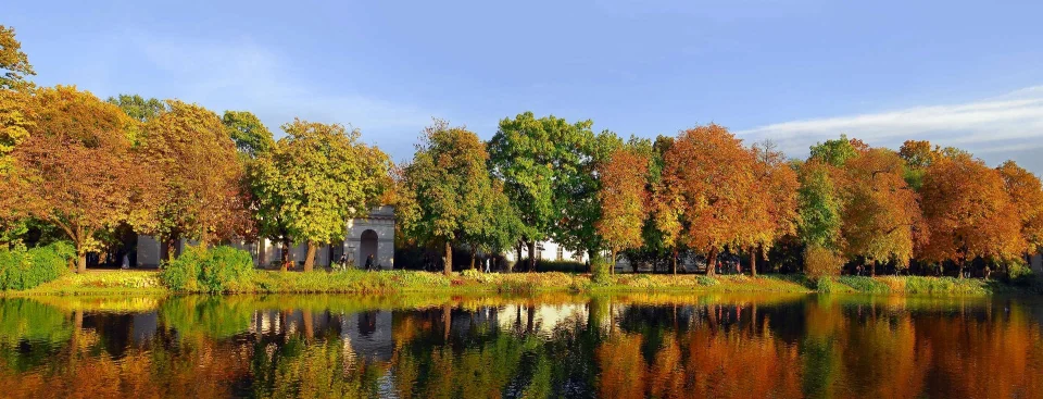 Model sticlă printată, Pădure