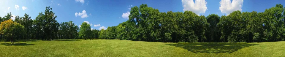 Model sticlă printată, Pădure