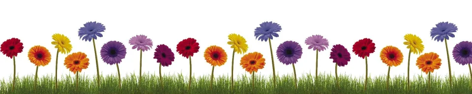 Model sticlă printată, Gerbera