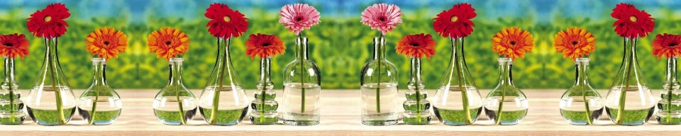 Model sticlă printată, Gerbera