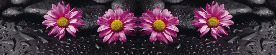 Model sticlă printată, Gerbera