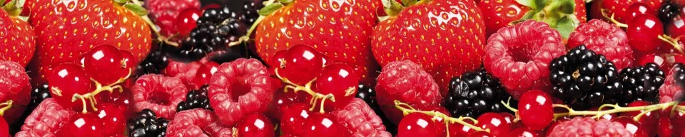 Model sticlă printată, Fructe