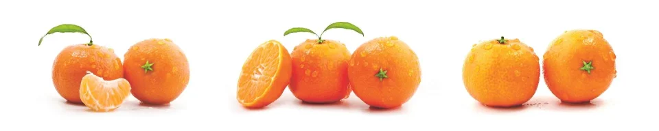 Model sticlă printată, Fructe