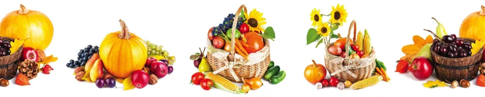 Model sticlă printată, Legume