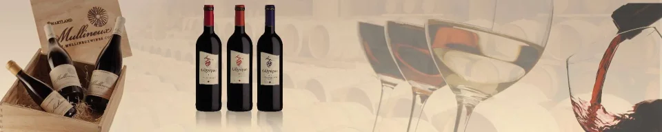 Model sticlă printată, Vin