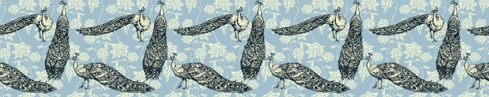 Model sticlă printată, Păsări