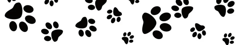 Model sticlă printată, Animale de companie
