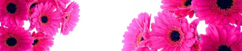 Model sticlă printată, Gerbera