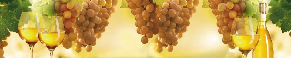 Model sticlă printată, Vin