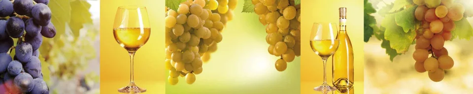 Model sticlă printată, Vin