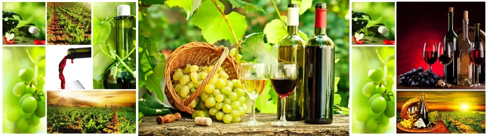 Model sticlă printată, Vin