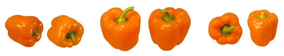 Model sticlă printată, Legume