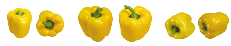 Model sticlă printată, Legume