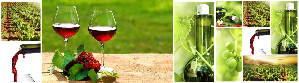 Model sticlă printată, Vin