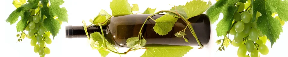Model sticlă printată, Vin