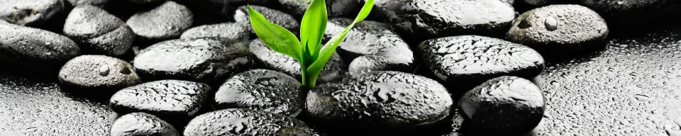 Model sticlă printată, Altele