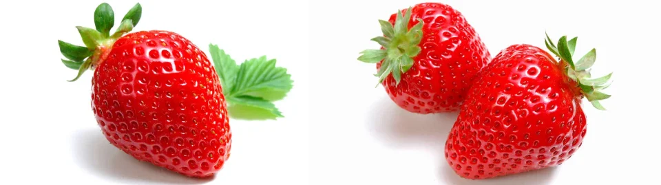 Model sticlă printată, Fructe