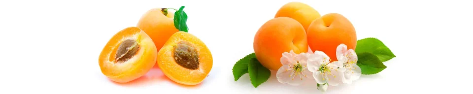 Model sticlă printată, Fructe