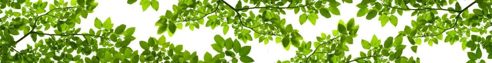 Model sticlă printată, Modele plante