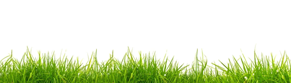 Model sticlă printată, Plante
