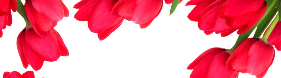 Model sticlă printată, Flori