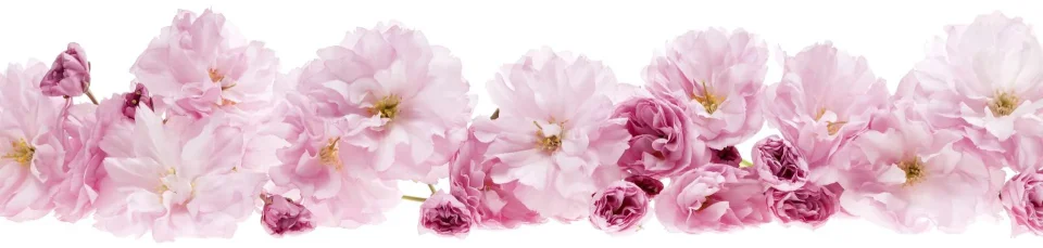 Model sticlă printată, Flori diverse