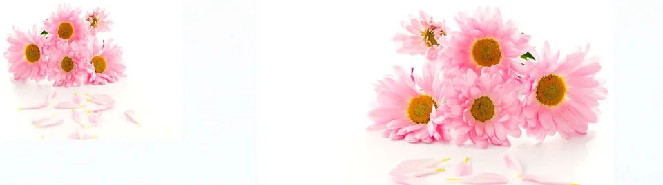 Model sticlă printată, Gerbera