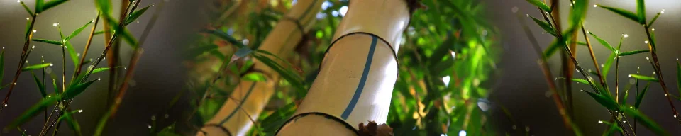 Model sticlă printată, Plante