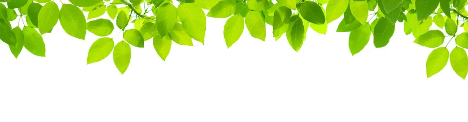 Model sticlă printată, Plante