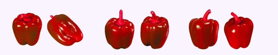 Model sticlă printată, Legume