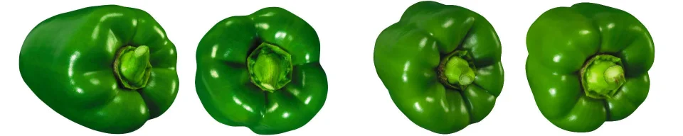 Model sticlă printată, Legume