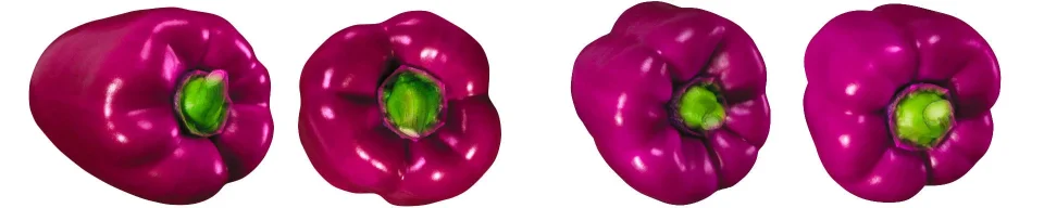 Model sticlă printată, Legume
