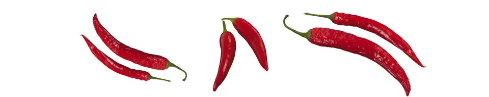 Model sticlă printată, Legume