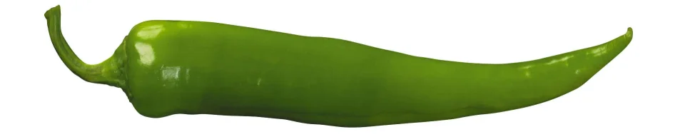 Model sticlă printată, Legume