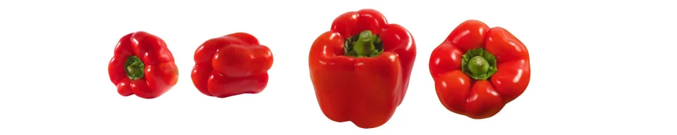 Model sticlă printată, Legume