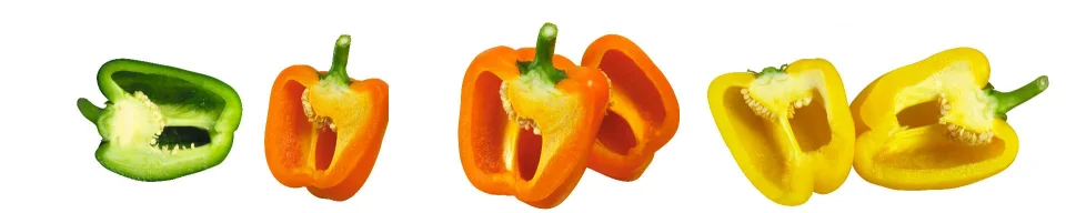 Model sticlă printată, Legume