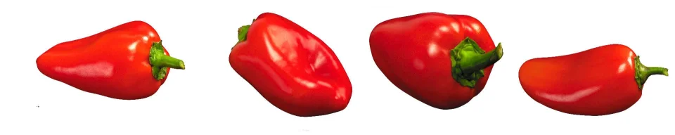 Model sticlă printată, Legume