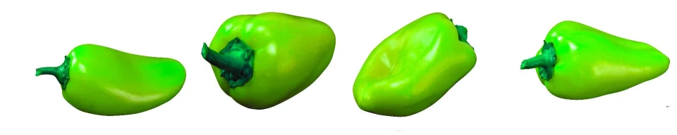 Model sticlă printată, Legume
