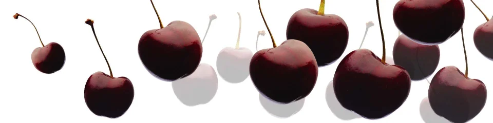 Model sticlă printată, Fructe