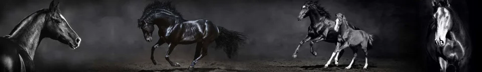 Model sticlă printată, Animale de companie